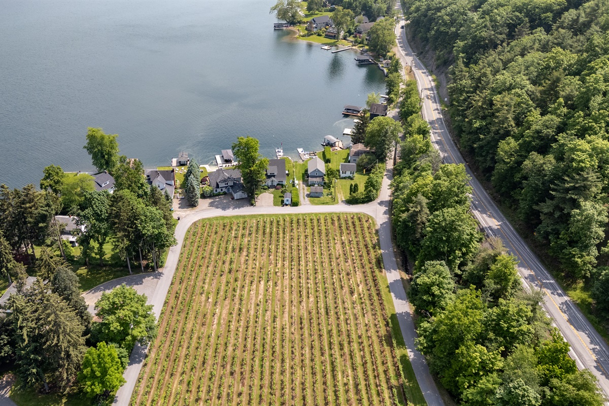 Scenic vineyard rows stretch toward sparkling blue waters, with cozy lakefront homes offering serene views and direct access to the lake.