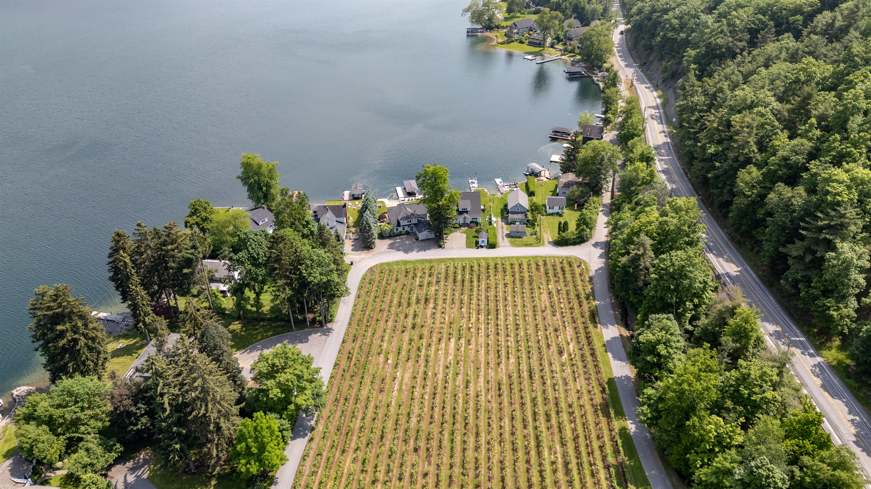 Scenic vineyard rows stretch toward sparkling blue waters, with cozy lakefront homes offering serene views and direct access to the lake.