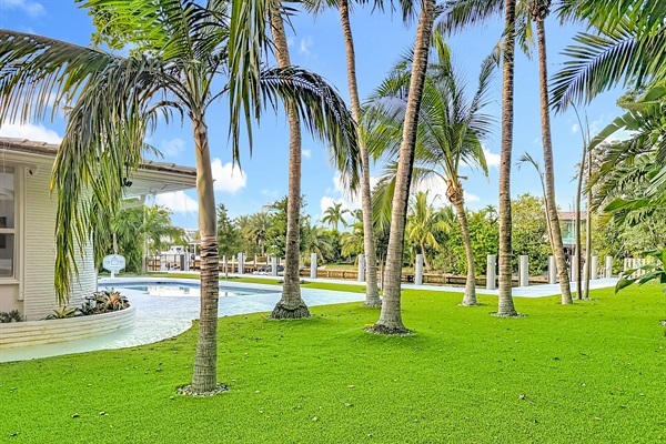 The palm and tropic landscape give it a great vibe. 