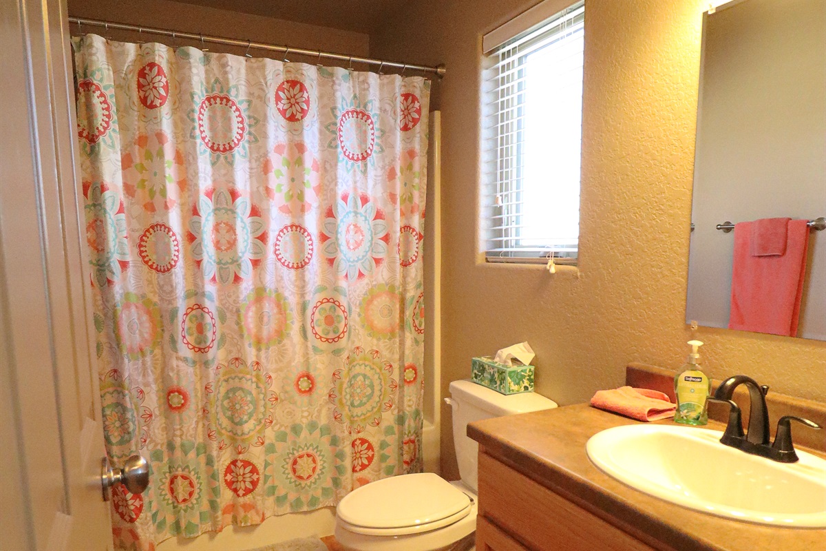 Jack and Jill bathroom between the bedroom 2 and 3