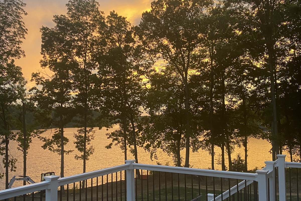 View from the back deck