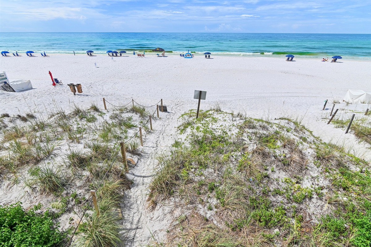 Dune view from First Floor Deck
