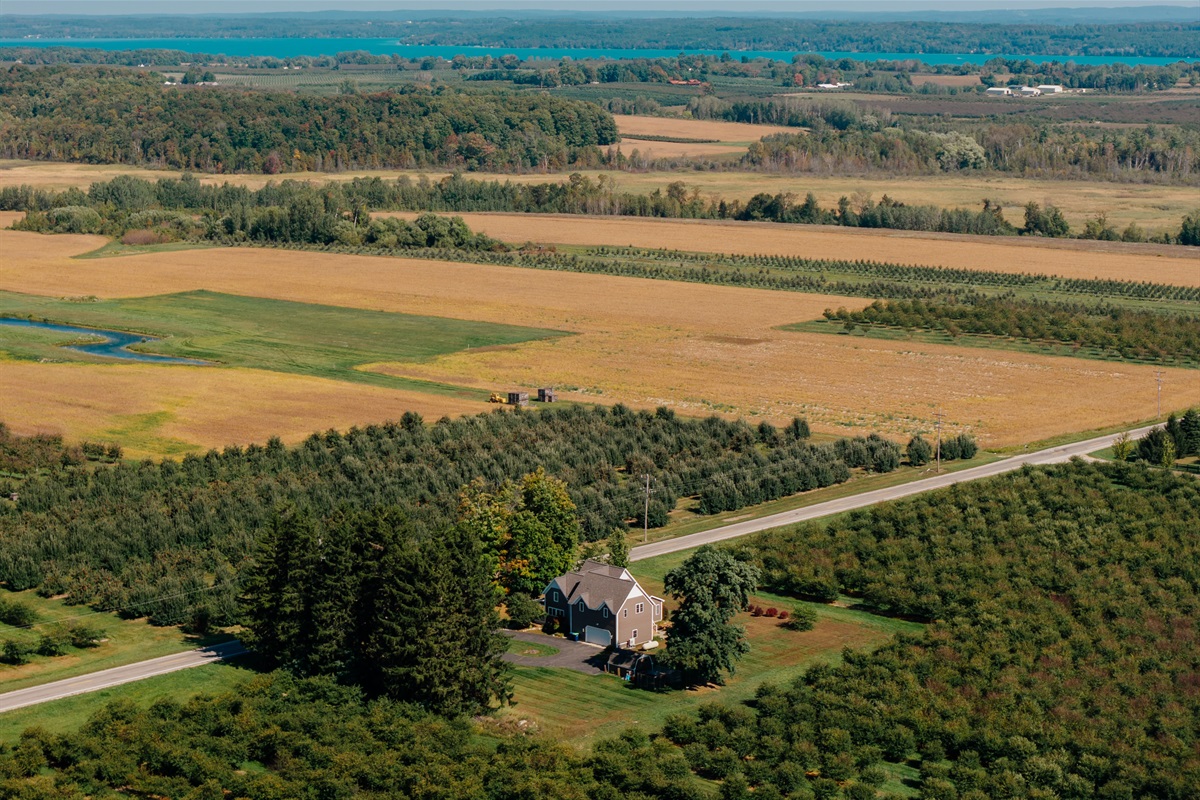 Expansive orchard and vineyard views
