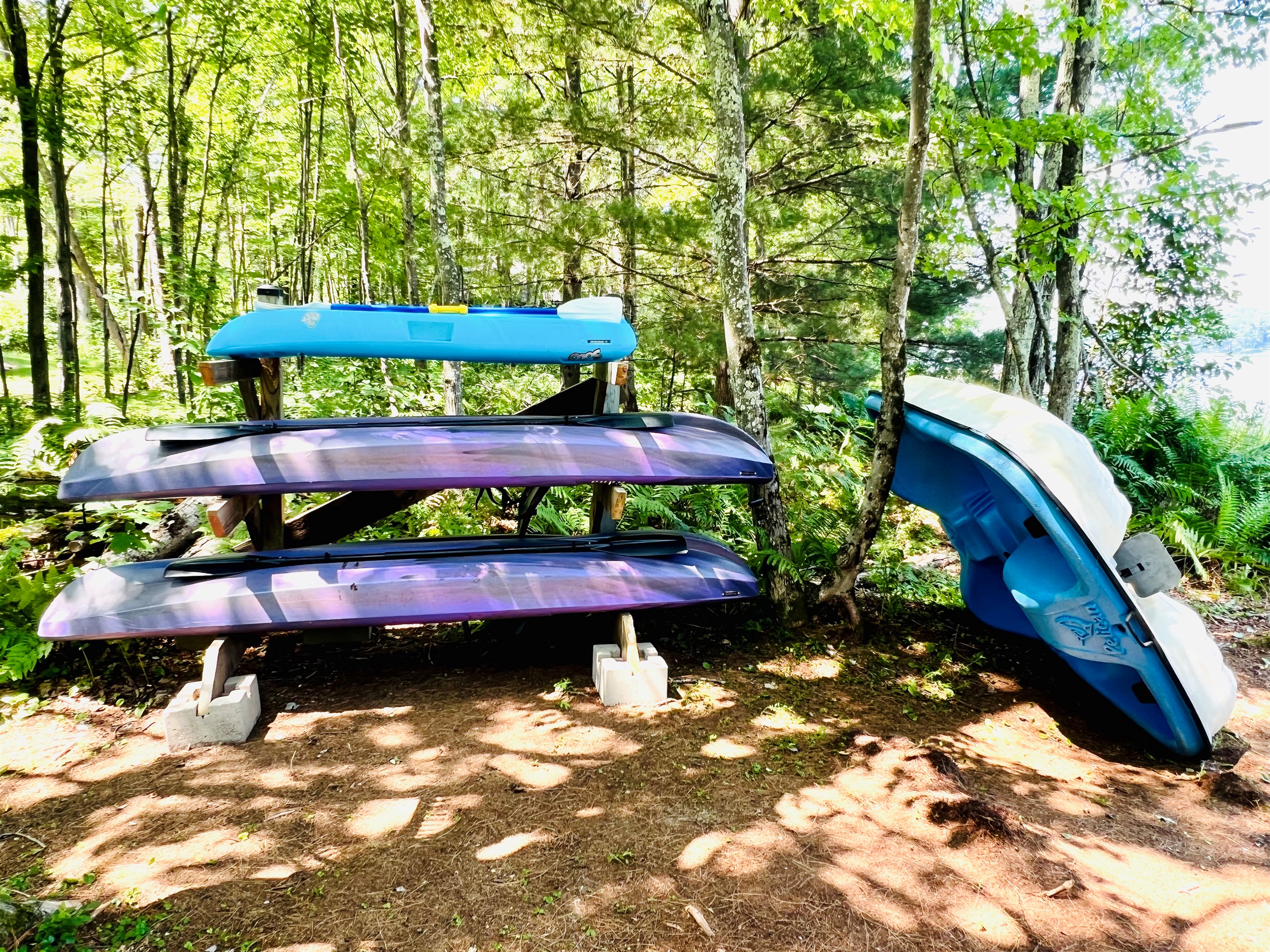 We have 2 adult size kayaks and 1 kiddie kayak!  Paddles too!