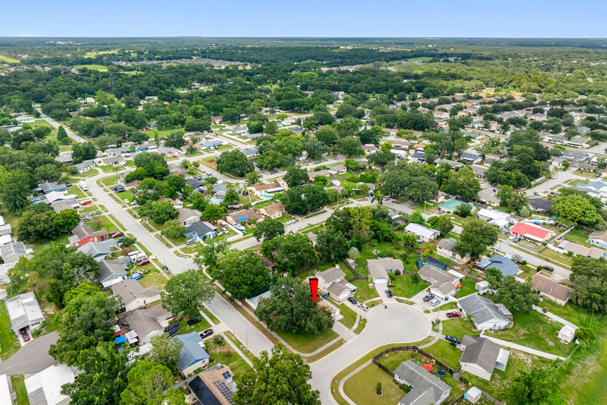 Aerial View of the Neighborhood