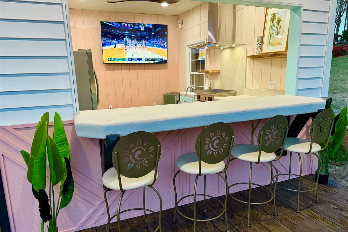 Dock bar 75 inch TV