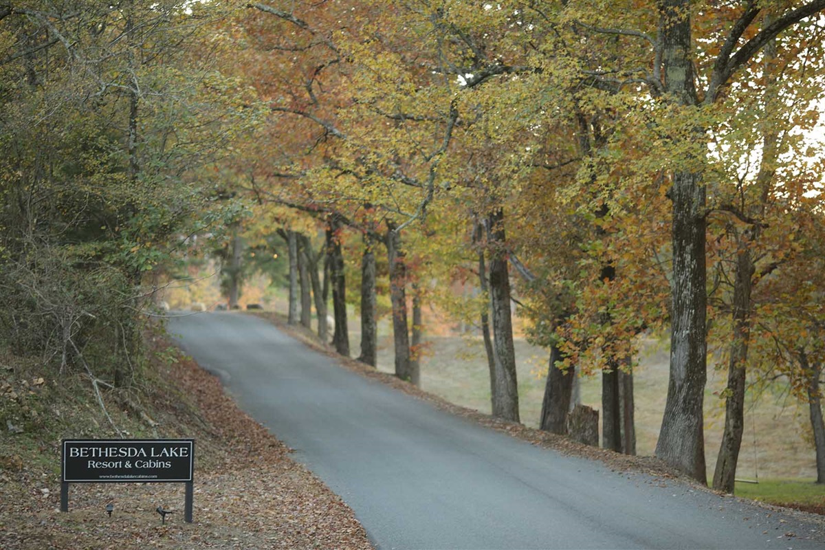 Entry Road