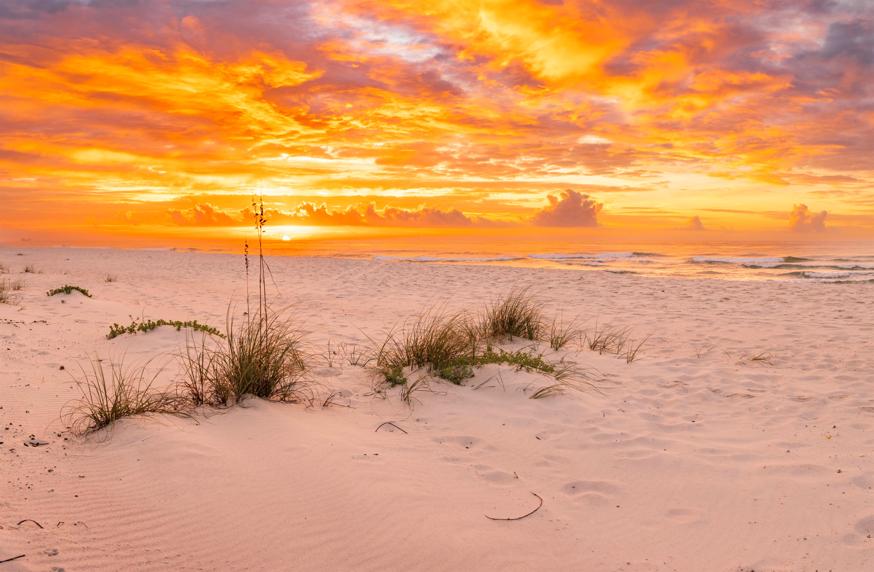Stunning beach sunset with vibrant orange skies, soft sand, and tranquil waves for ultimate relaxation at “Gone Coastal,” Gulf Shores, AL."
