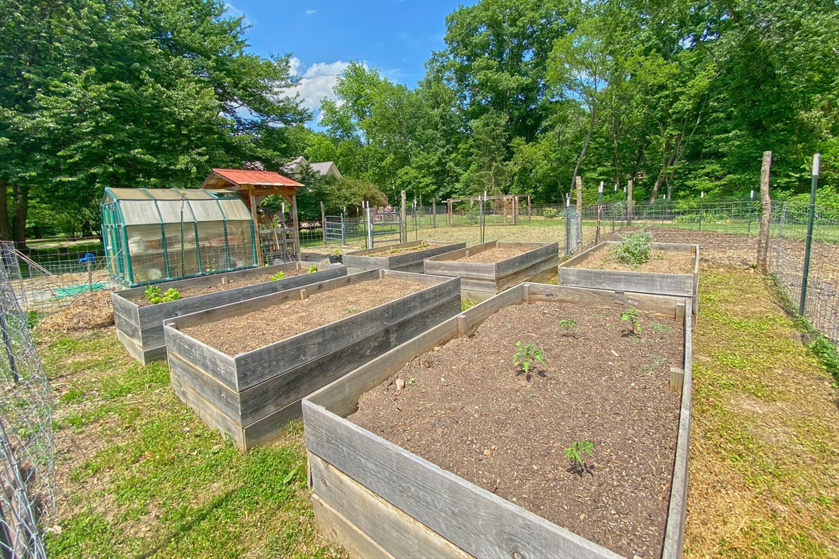 Raised bed gardens often have food growing for guest to enjoy