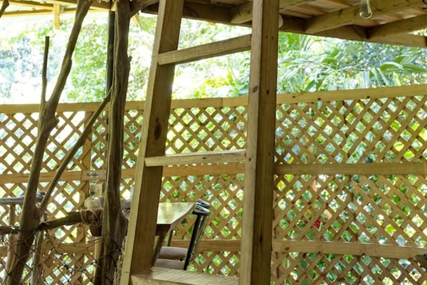 Ladder to the loft with queen bed 