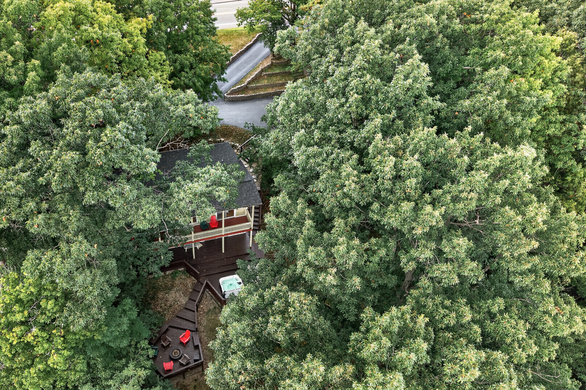 House partially visible through dense trees