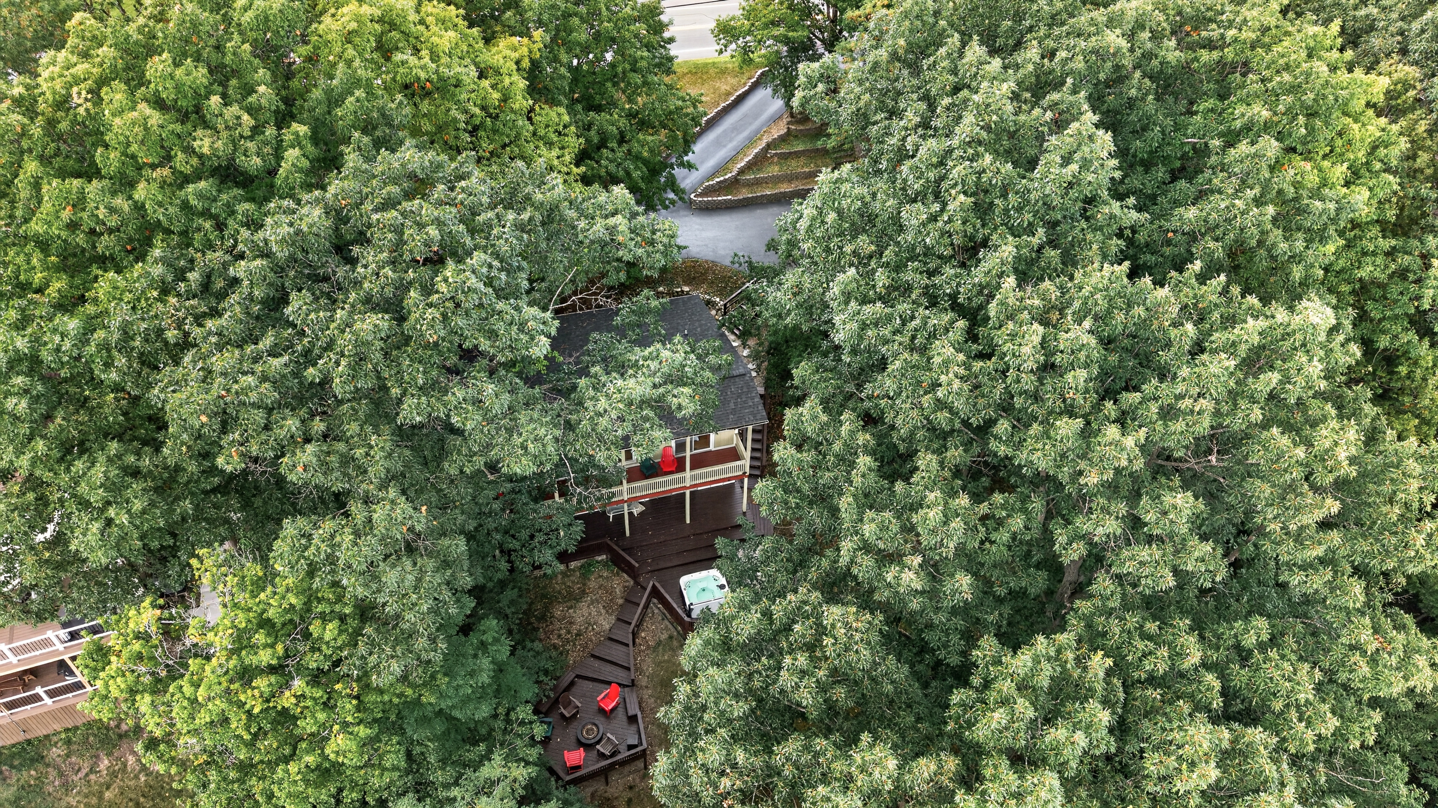 House partially visible through dense trees