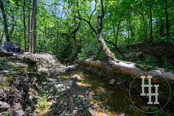 Watch the kids play in the creek from the fire pit chairs.