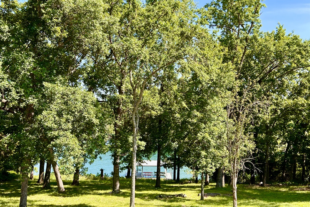 Large green space for family games