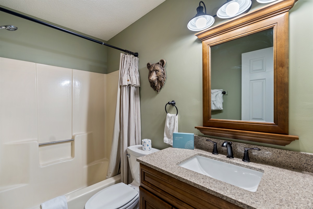 Other full sized bathroom.
