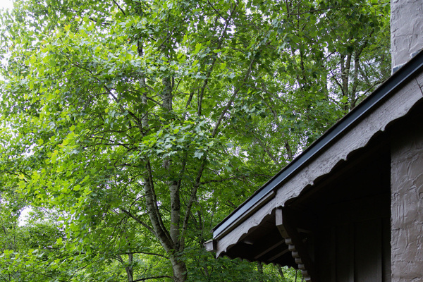 Two levels of outdoor living provide plenty of space to relax, gather, and enjoy the fresh mountain air.
