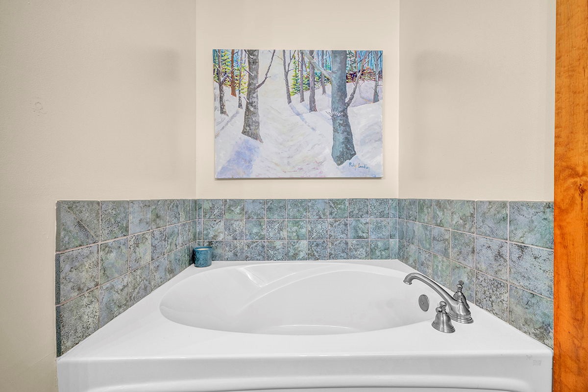 Master Bathroom jacuzzi tub
