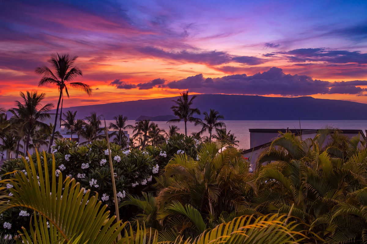 Oh the Maui sunsets!