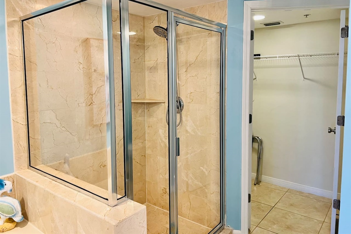 Shower in Master