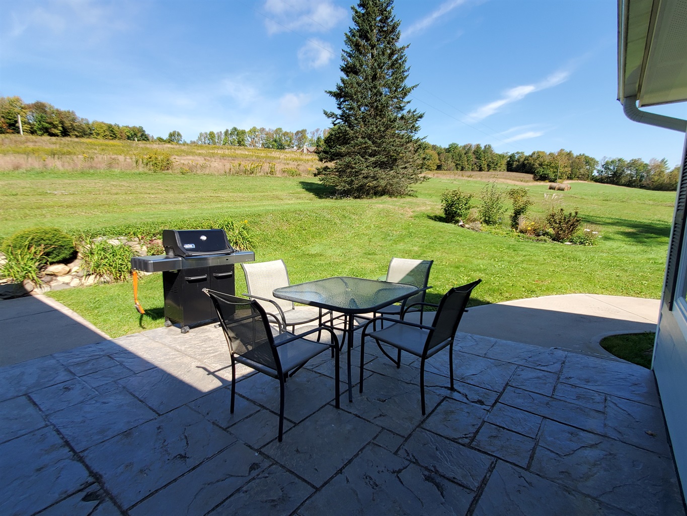 Private back patio with grill.