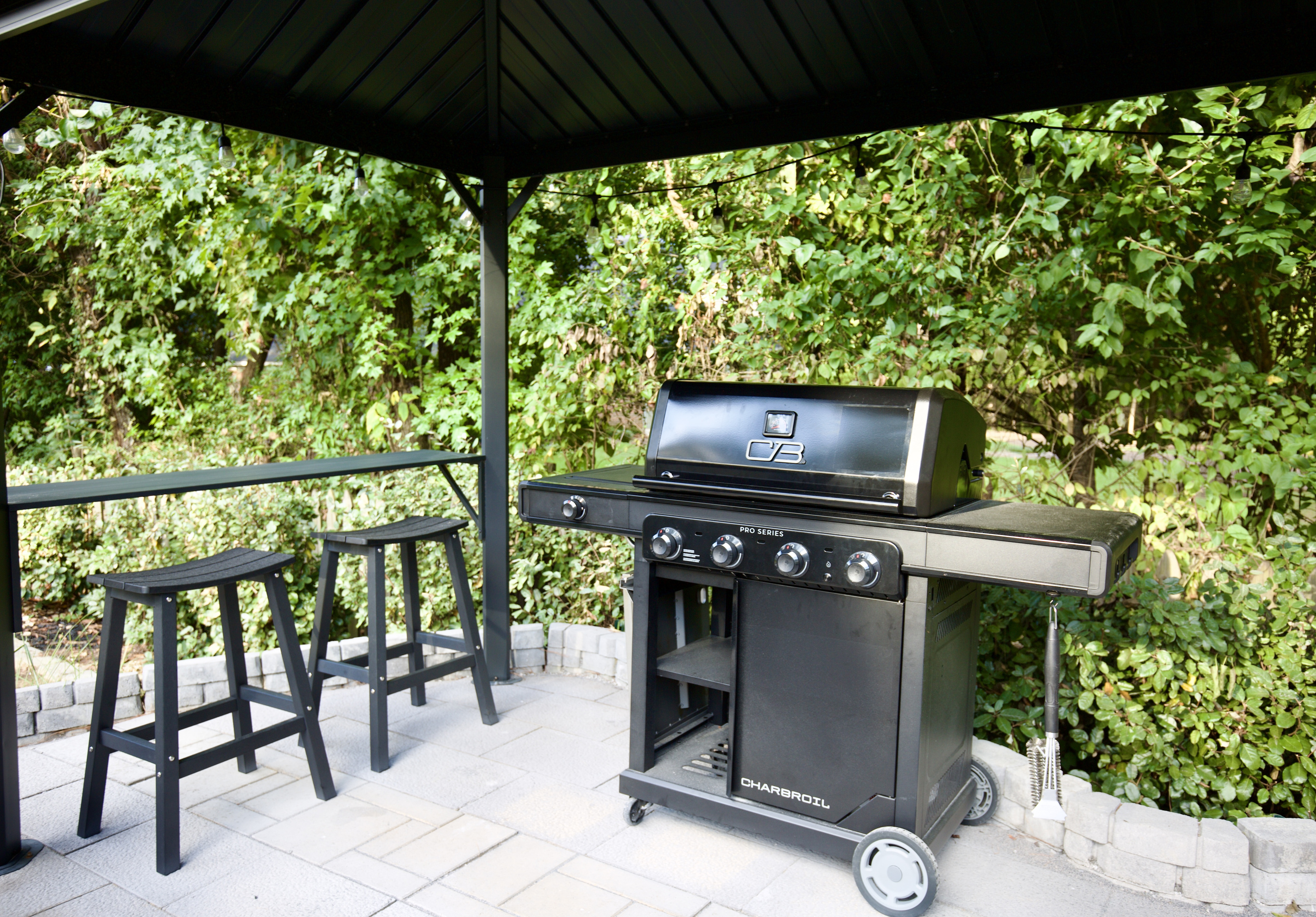 Propane grill