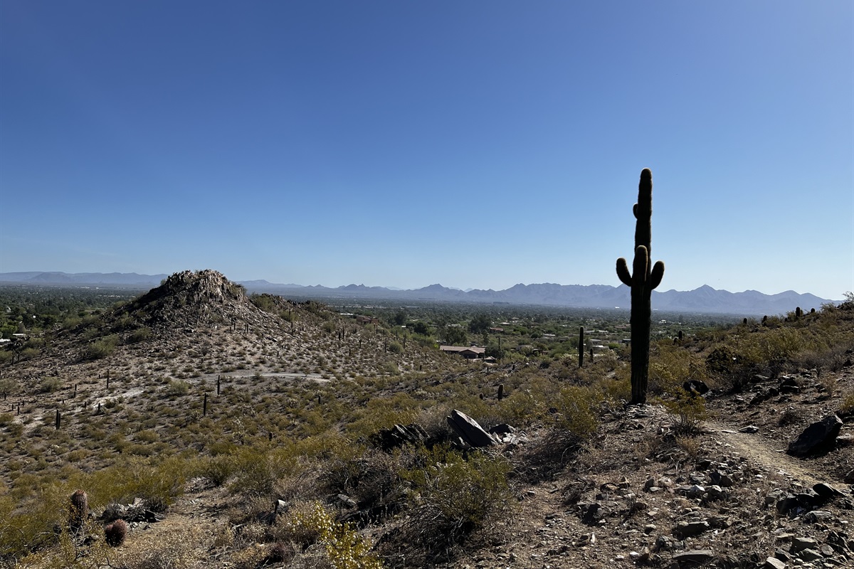Nearby Phoenix Mountain Preserve - Ample hiking and mountain bike trails!