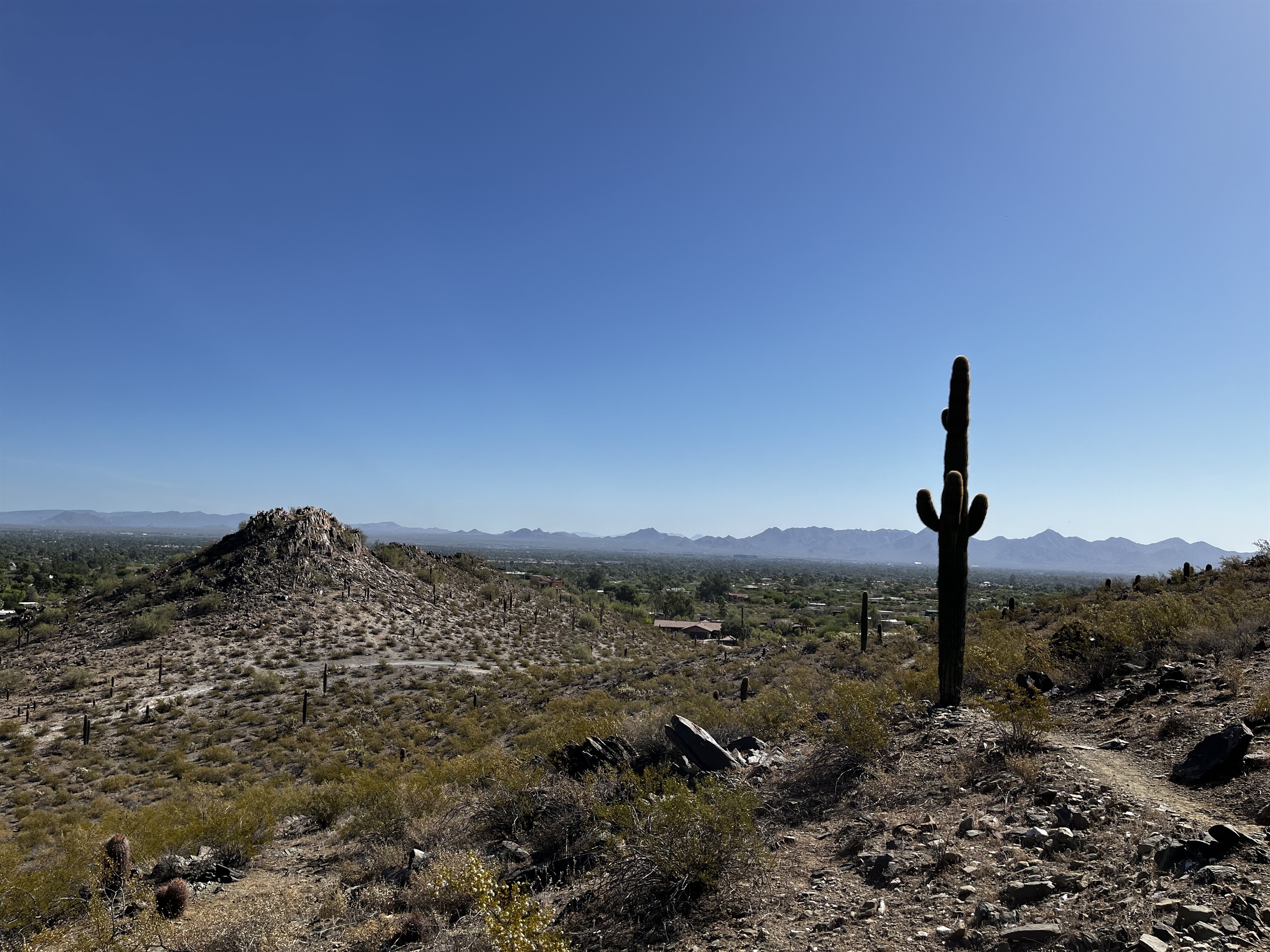 Nearby Phoenix Mountain Preserve - Ample hiking and mountain bike trails!