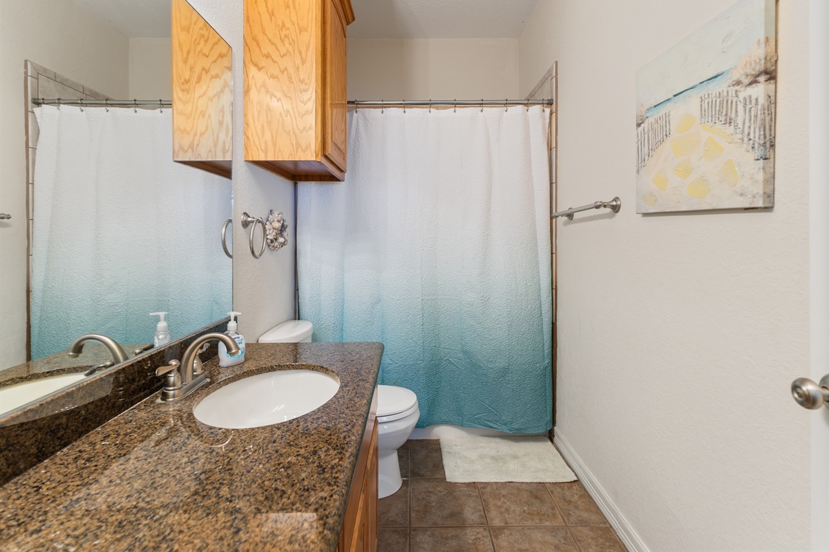 Hall bathroom