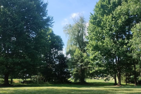 View into the backyard from the deck.