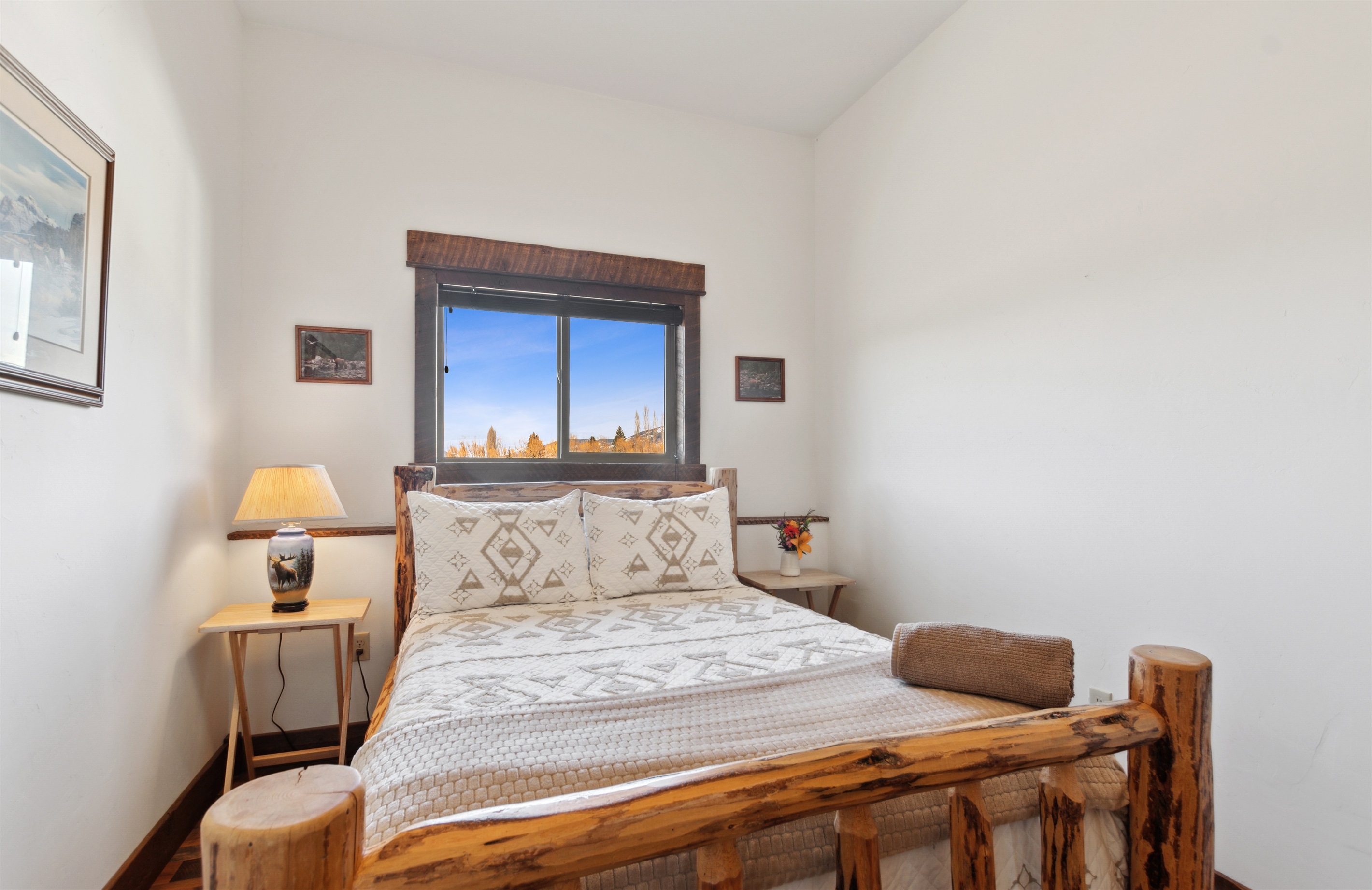 Cozy second bedroom with a full bed