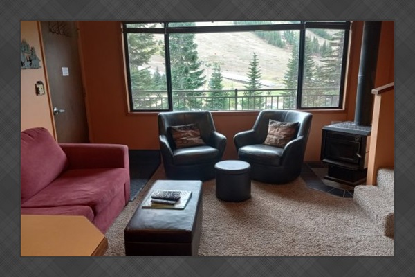 Livingroom area.