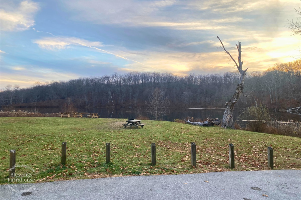 Nearby: Yellowwood State Forest