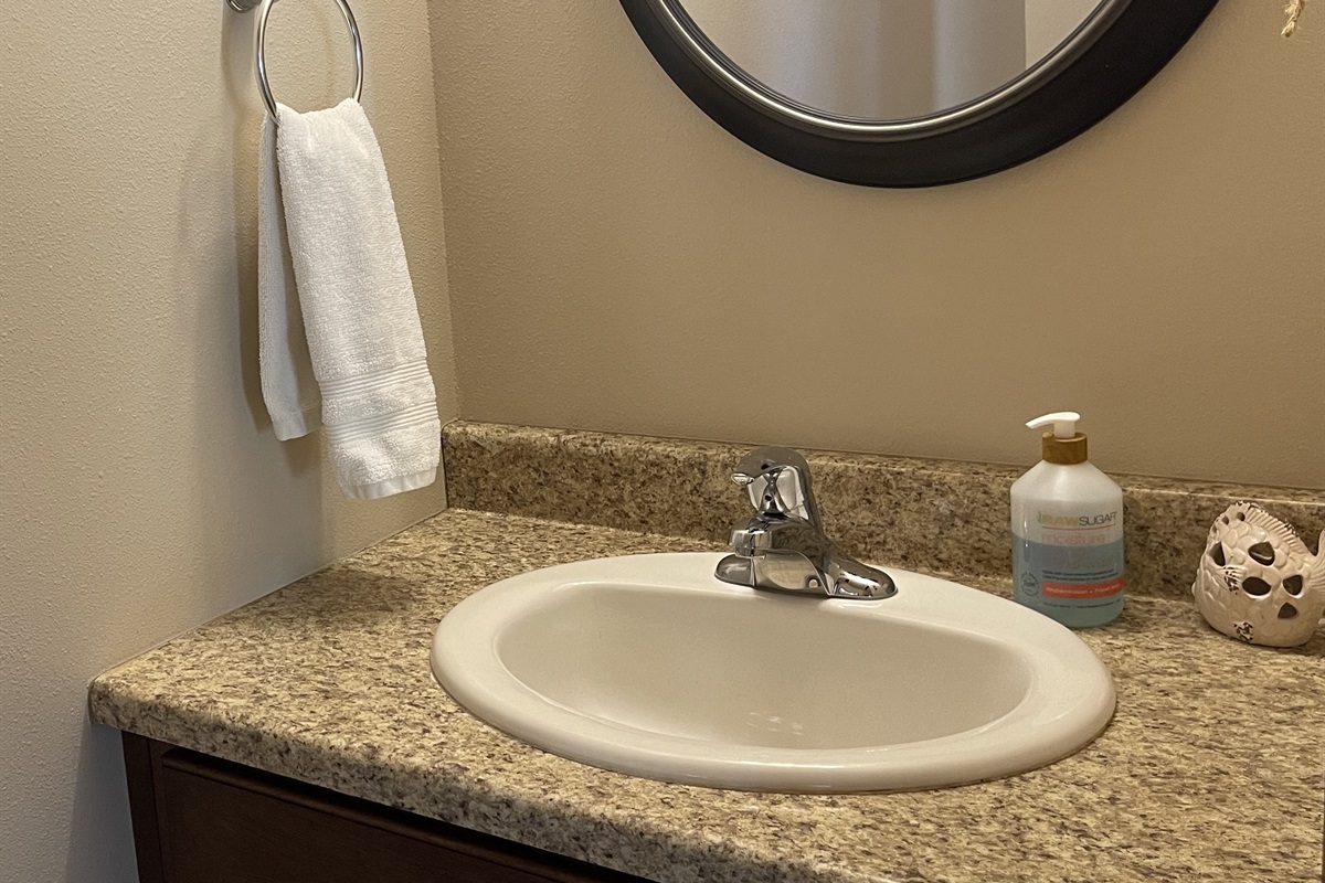 Downstairs half bathroom