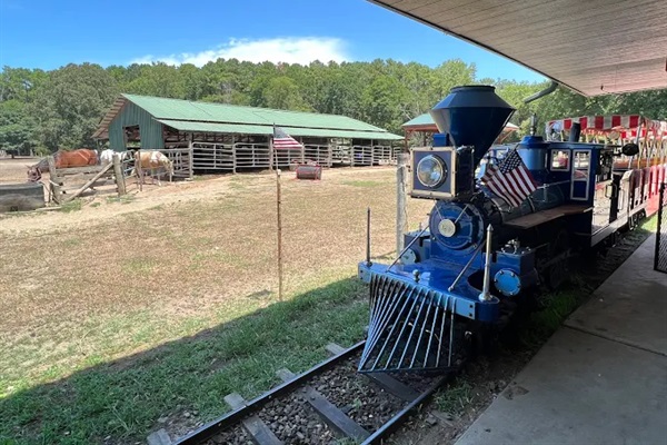 Beavers Bend Depot and Trail Rides – Train rides & horseback riding (12 min drive)