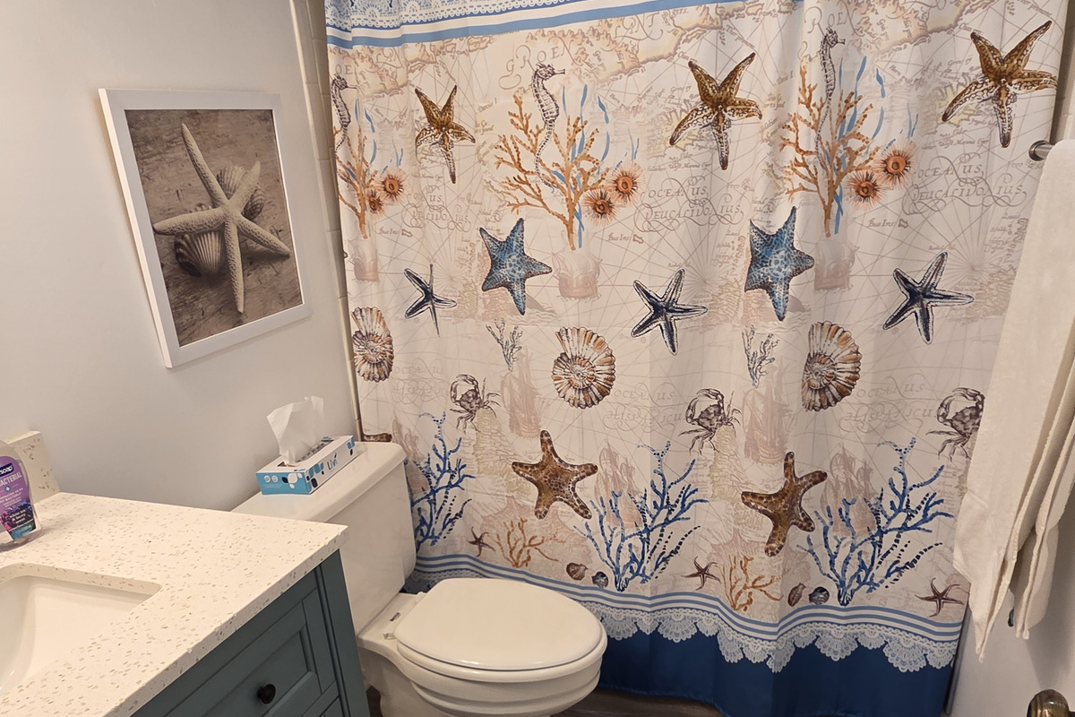 Guest bathroom