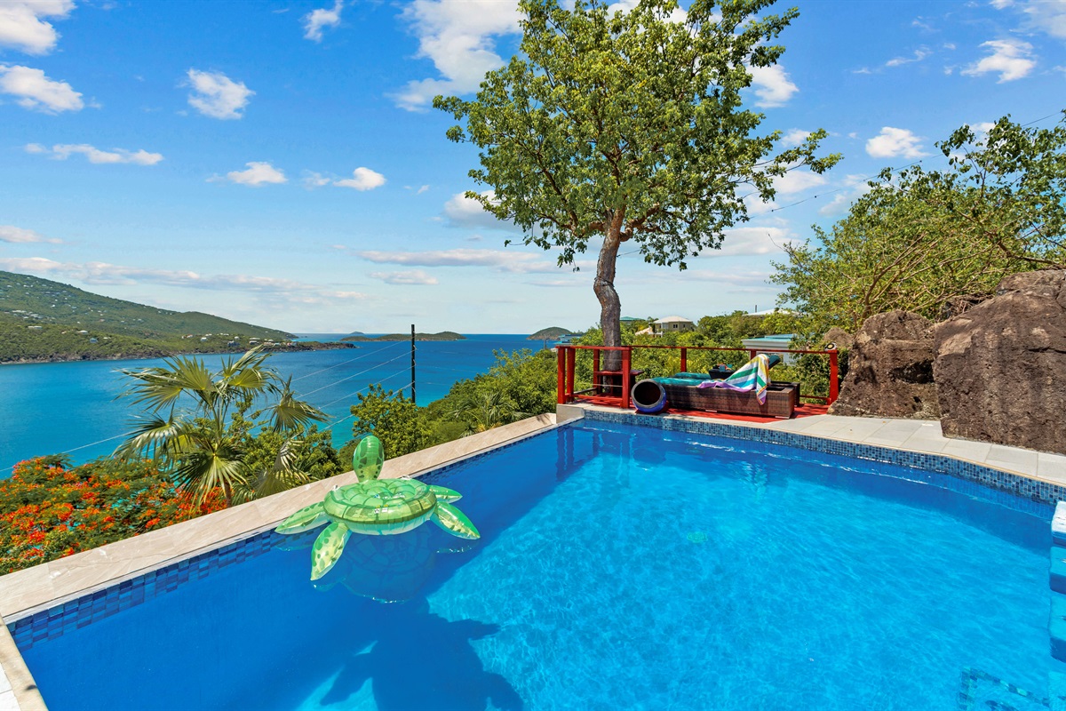 Let this turtle be your role model for your stay, float in the pool all day and soak in the views.