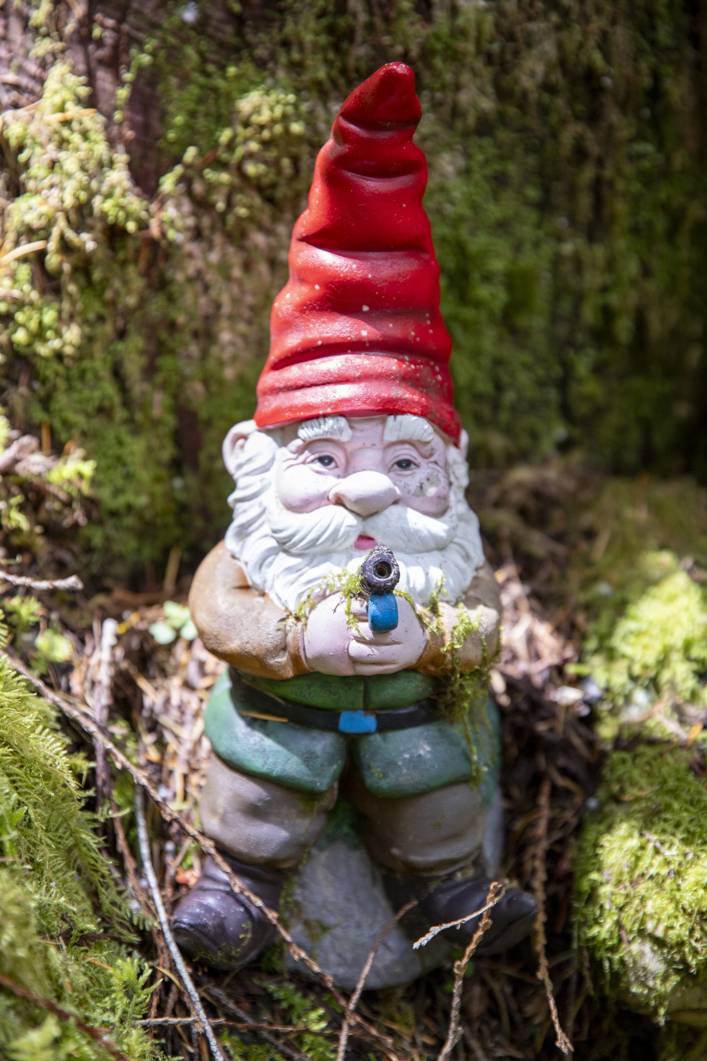 This gnome is armed but not dangerous