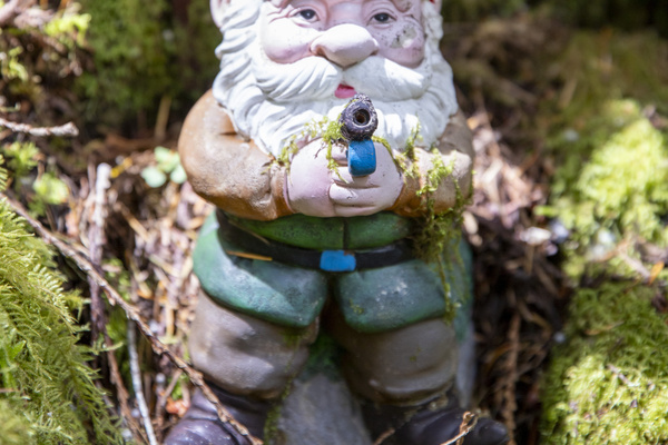 This gnome is armed but not dangerous