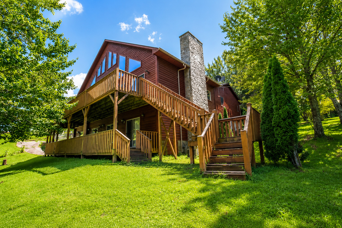 Back yard