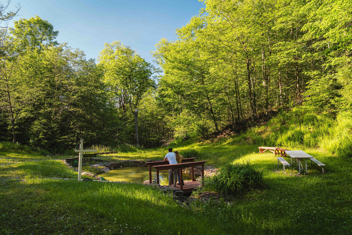 🌳 23 acres of forest to explore at your own pace.