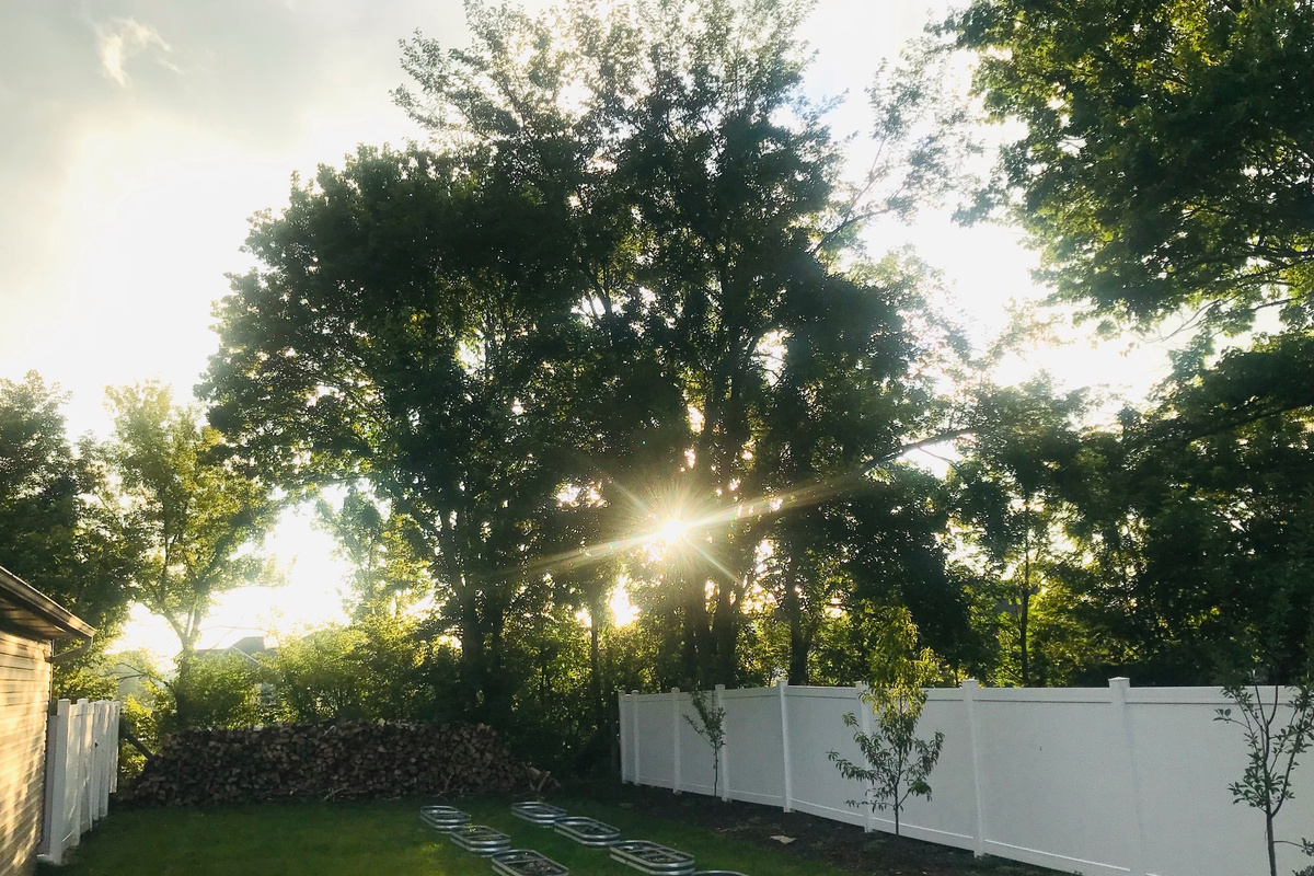 Sunset views through the backyard trees.