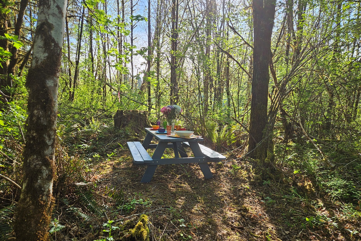 Dine in a secluded upland clearing at the end of a 4 acre walk through the wetland forest, surrounded by birds and woodland creatures.