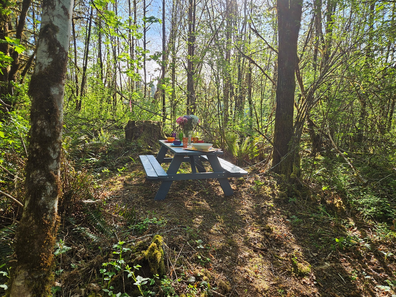Dine in a secluded upland clearing at the end of a 4 acre walk through the wetland forest, surrounded by birds and woodland creatures.