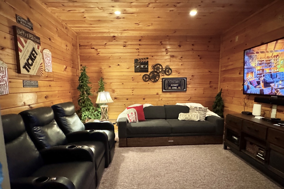 Theater room.  Roku TV, and DVD player with DVD's provided.