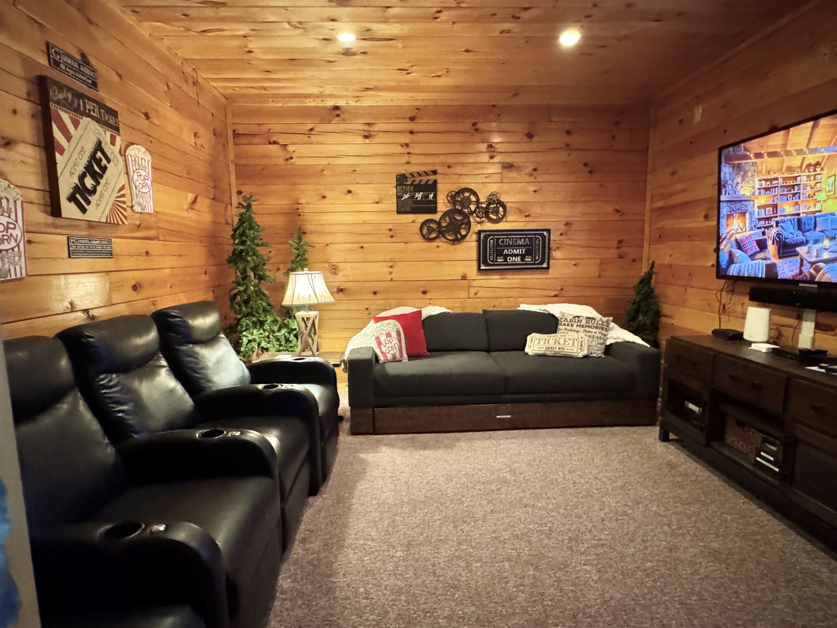 Theater room.  Roku TV, and DVD player with DVD's provided.
