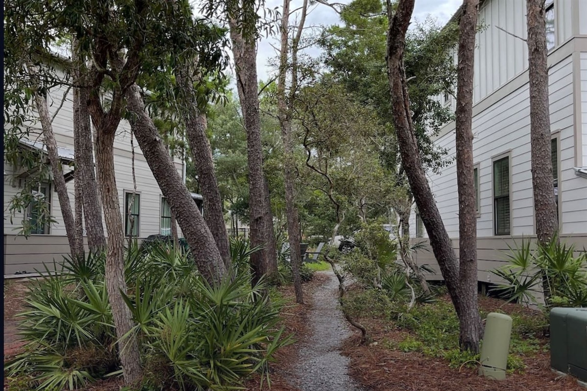 Short cut to the pool across Canopy Lane from the house, making it a quick few minute walk to the resort style community pool.