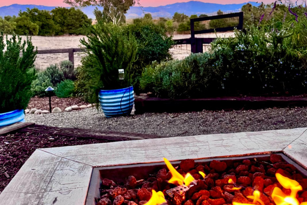 Firepit with views... and most likely some rescue sheep popping their head through the treat feeding area!   