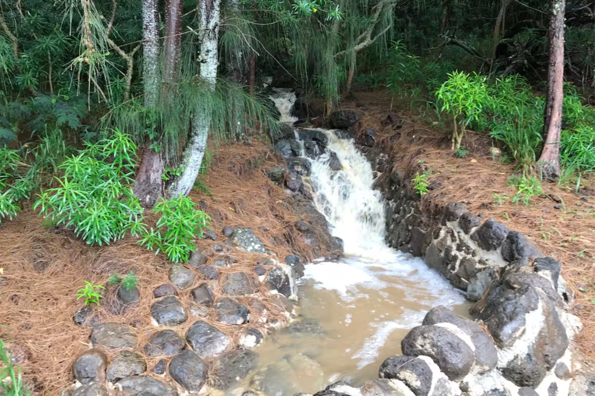 Small water fall behind property when it rains hard...very relaxing t hear the sound