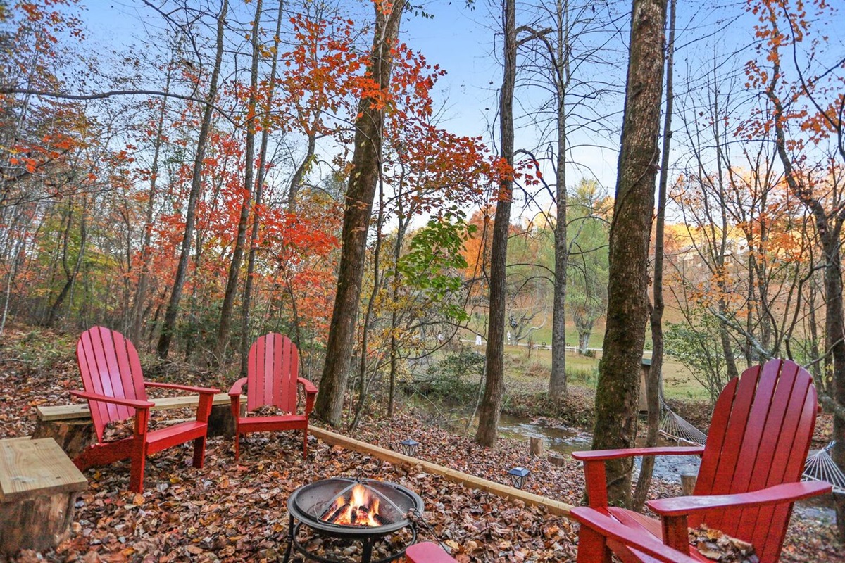 Fire Pit #2 by the skyview