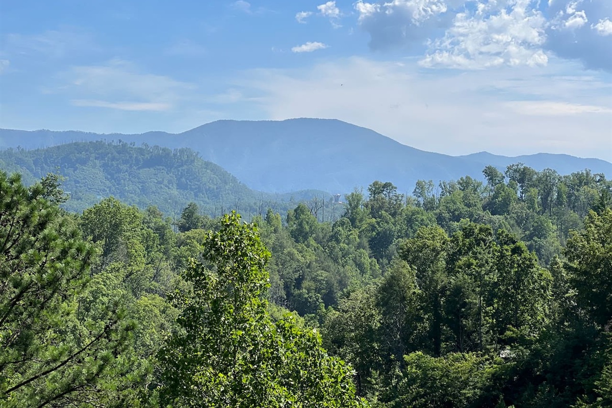 Settle in to this view and days of good times and mountain vibes! We can't wait to welcome you to Black Bear Bunkhouse.